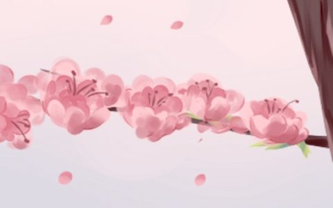 桃花放在客厅象征什么 有何摆放禁忌