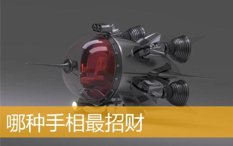 哪种手相最招财