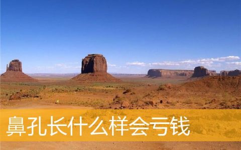 鼻孔长什么样会亏钱