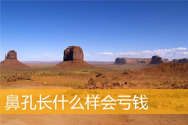鼻孔长什么样会亏钱