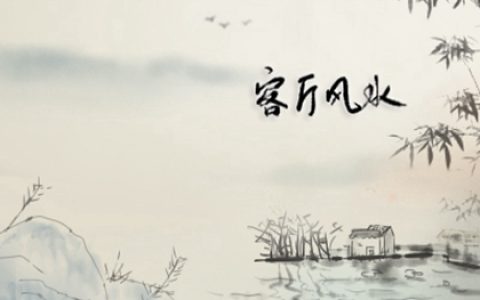客厅摆放什么植物最好 美化环境又增强财运