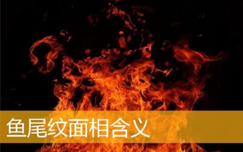 鱼尾纹面相含义
