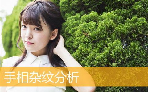 手相杂纹分析