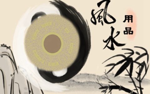 客厅摆什么花卉比较适合 最好招财的有什么