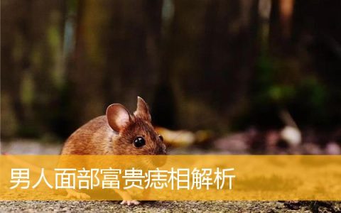 男人面部富贵痣相解析