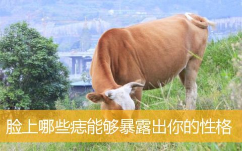 脸上哪些痣能够暴露出你的性格