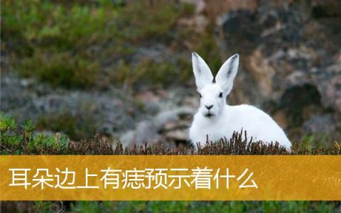耳朵边上有痣预示着什么