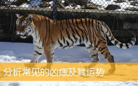 分析常见的凶痣及其运势