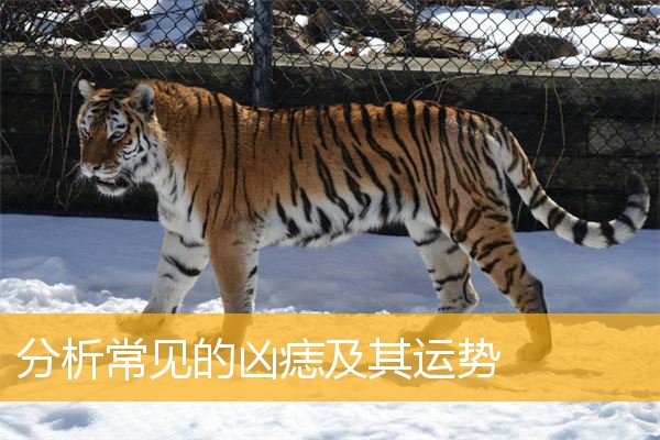 分析常见的凶痣及其运势