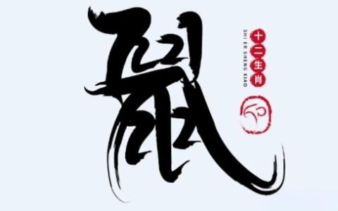 2020年属鼠的是什么命