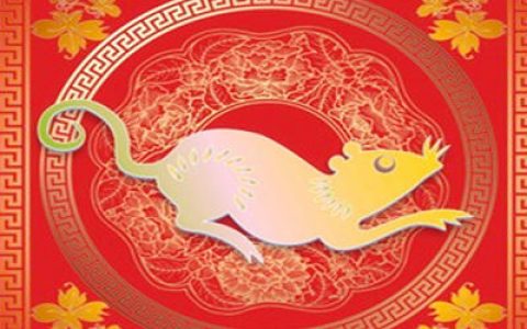 属鼠的和什么属相最配
