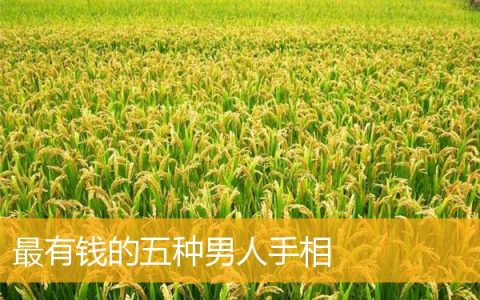 最有钱的五种男人手相