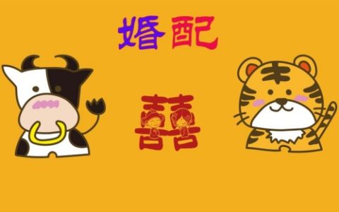 属牛的和属虎的婚姻相配吗