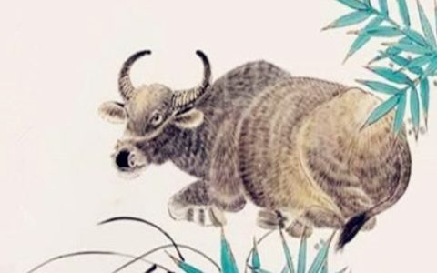 牛和虎的属相合不合 – 牛和虎婚配怎样