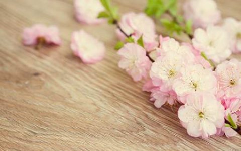 家里挂钟风水禁忌大全