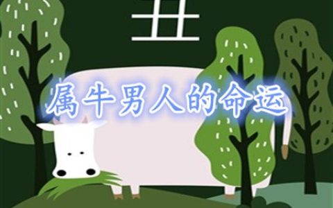 属牛的男人命好不好-