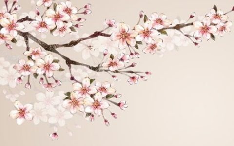 属牛人在2021年12月可能破财吗 财神到来正财佳