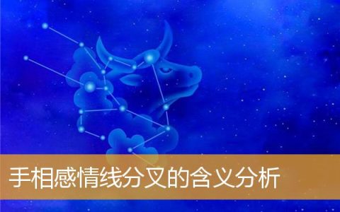 手相感情线分叉的含义分析
