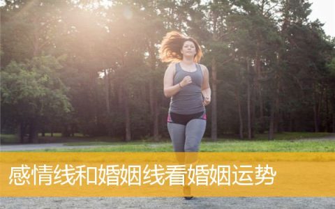 感情线和婚姻线看婚姻运势