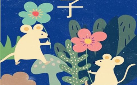 属鼠适合什么职业-