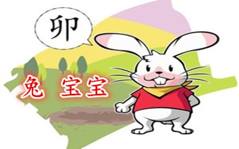 属兔的女孩几月出生好