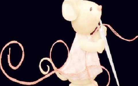 属鼠人一生财运如何