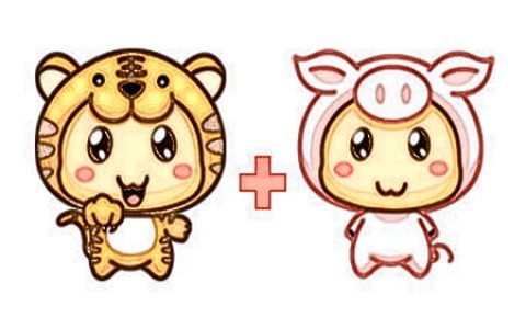 虎和猪的属相合不合 – 虎和猪婚配怎么样