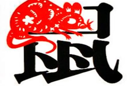生肖属鼠男最怕几月出生