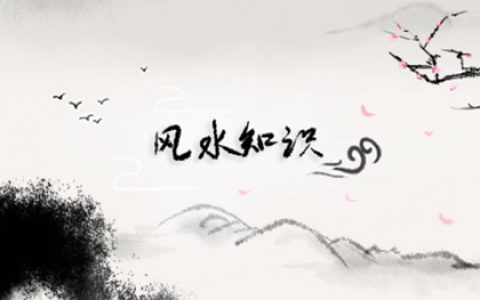 四大镇宅之树是哪些 可以种一棵