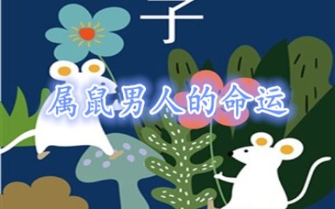 属鼠的男人命好不好