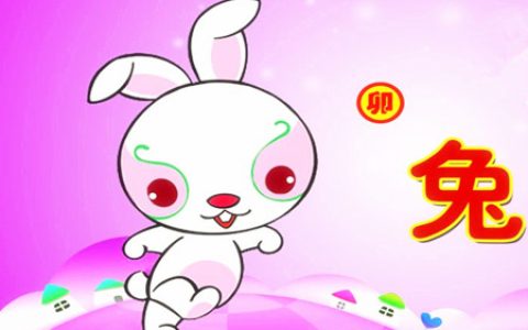 属兔的取名带什么字好 – 属兔取名宜用字大全