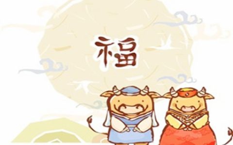 属牛适合住几楼