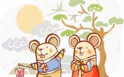 属鼠适合住几楼