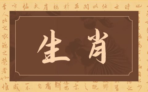 12生肖谁最爱吃醋