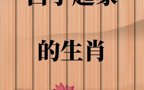 哪个生肖能白手起家