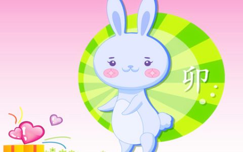 属兔的宝宝几月出生好