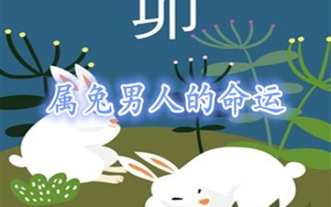 属兔的男人命好不好