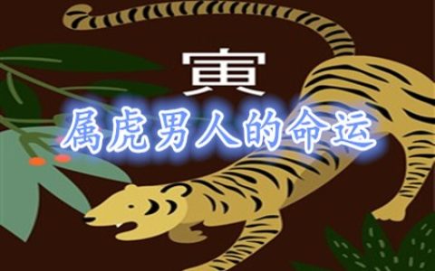 属虎的男人命好不好