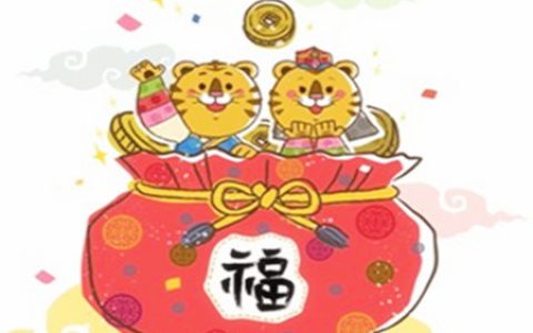 属虎一生财运如何