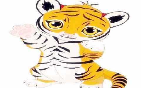 生肖属虎女最怕几月出生