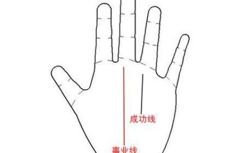 金三银四跳槽季，快来从事业线看你是否适合换工作！