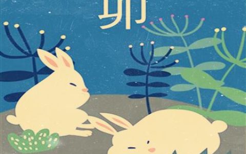 属兔适合什么职业