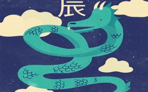 属龙适合什么职业
