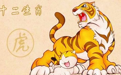 属虎的人适合做什么行业