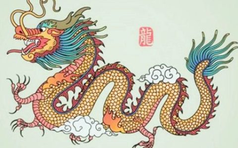 属龙适合养什么植物