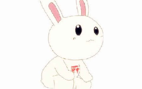 生肖属兔女最怕几月出生