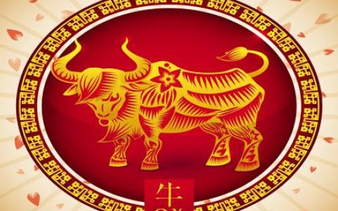 属牛的幸运色是什么