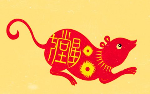 生肖鼠的财运方位