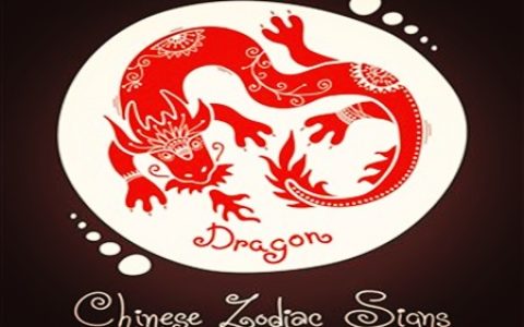 属龙的人取名