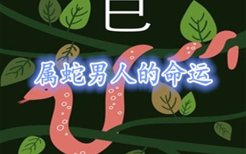 属蛇的男人命好不好